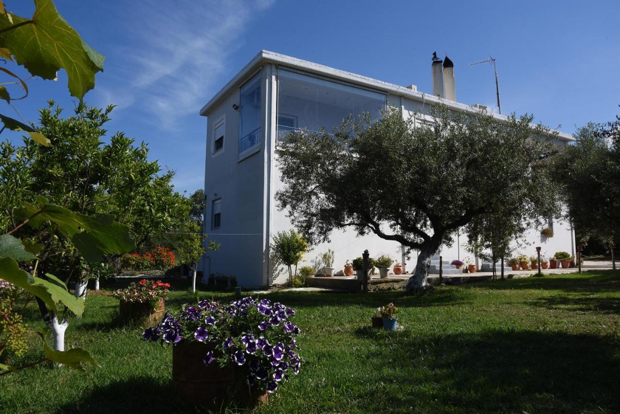 Mina Apartments Zacharo Zewnętrze zdjęcie